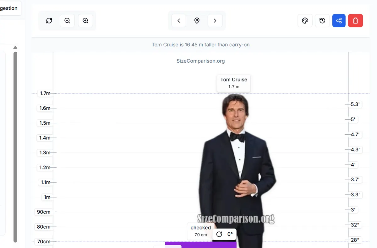 Home chart with Tom Cruise, carry-on, and checked bag rectangles