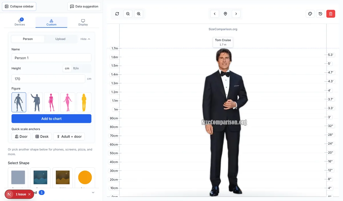 Pestaña Custom con formulario de altura junto al gráfico